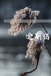 逾期信用卡 抓人